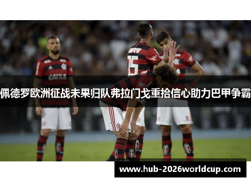 佩德罗欧洲征战未果归队弗拉门戈重拾信心助力巴甲争霸
